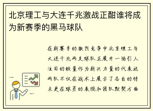 北京理工与大连千兆激战正酣谁将成为新赛季的黑马球队